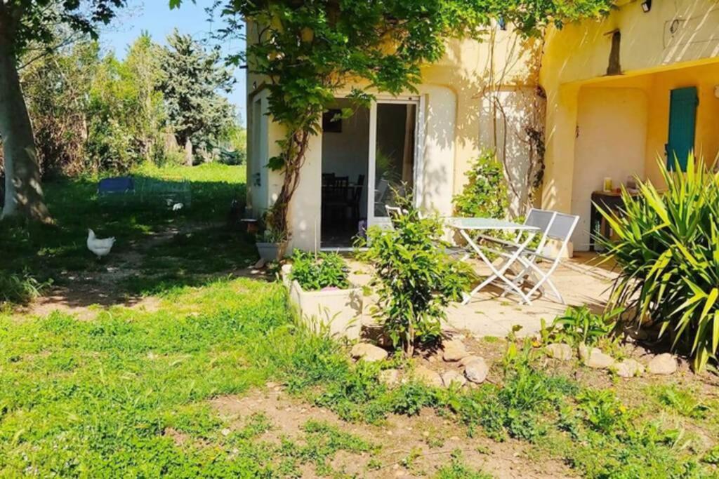 Offrez-Vous Un Sejour Dans Notre Gite A Entressen Une Grande Piscine Pour Se Rafraichir ,Un Espace De Jeux Pour Enfants Pour Des Heures De Divertissement Un Terrain De Petanque Pour Des Parties Endiablees Dış mekan fotoğraf