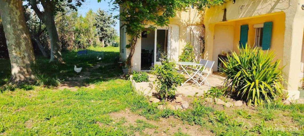 Offrez-Vous Un Sejour Dans Notre Gite A Entressen Une Grande Piscine Pour Se Rafraichir ,Un Espace De Jeux Pour Enfants Pour Des Heures De Divertissement Un Terrain De Petanque Pour Des Parties Endiablees Dış mekan fotoğraf